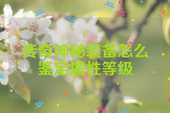 传奇神秘装备怎么鉴定属性等级