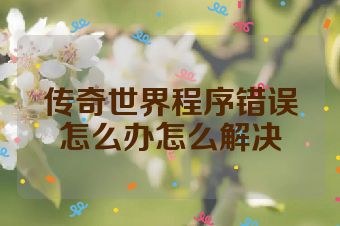 传奇世界程序错误怎么办怎么解决