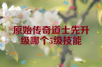 原始传奇道士先升级哪个5级技能