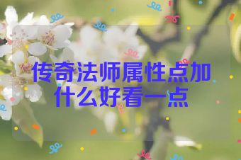 传奇法师属性点加什么好看一点