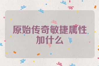 原始传奇敏捷属性加什么