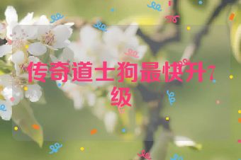 传奇道士狗最快升7级
