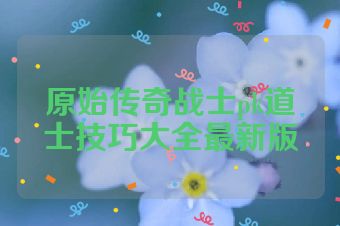 原始传奇战士pk道士技巧大全最新版