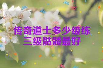 传奇道士多少级练三级骷髅最好
