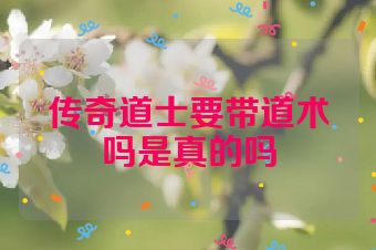 传奇道士要带道术吗是真的吗