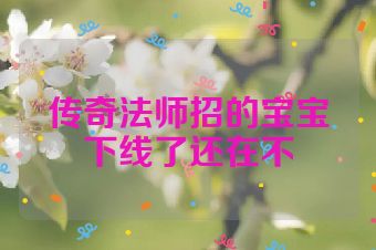 传奇法师招的宝宝下线了还在不