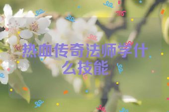 热血传奇法师学什么技能
