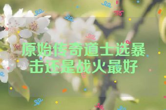 原始传奇道士选暴击还是战火最好