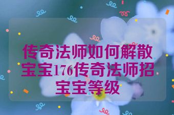 传奇法师如何解散宝宝176传奇法师招宝宝等级