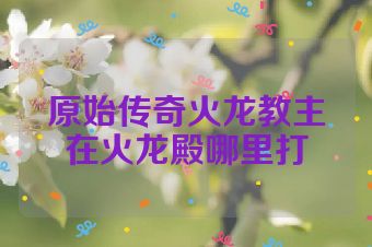原始传奇火龙教主在火龙殿哪里打