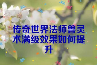 传奇世界法师兽灵术满级效果如何提升