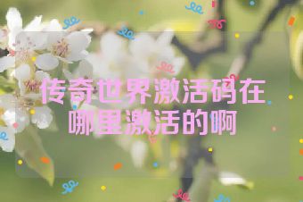 传奇世界激活码在哪里激活的啊