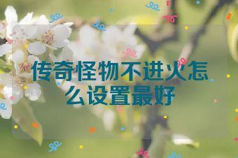 传奇怪物不进火怎么设置最好