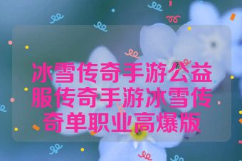 冰雪传奇手游公益服传奇手游冰雪传奇单职业高爆版