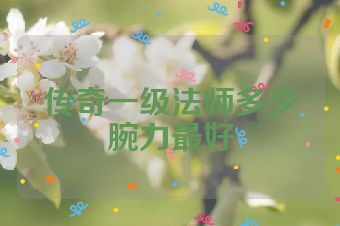 传奇一级法师多少腕力最好
