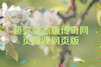 超变变态版传奇网页游戏网页版