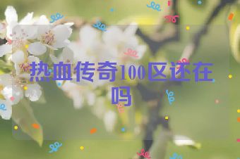 热血传奇100区还在吗