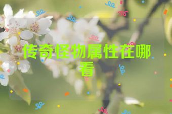 传奇怪物属性在哪看