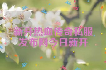 新开热血传奇私服发布网今日新开