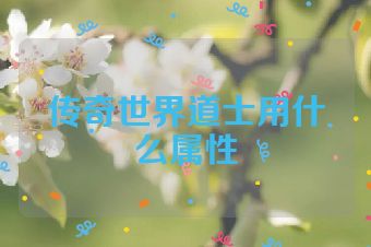 传奇世界道士用什么属性