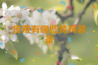 传奇有哪些特殊装备