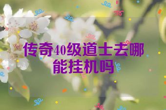 传奇40级道士去哪能挂机吗