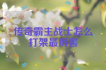 传奇霸主战士怎么打架最厉害