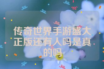 传奇世界手游盛大正版还有人吗是真的吗