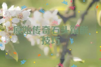 原始传奇石头镶嵌技巧