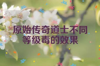 原始传奇道士不同等级毒的效果