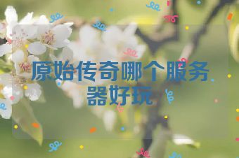 原始传奇哪个服务器好玩