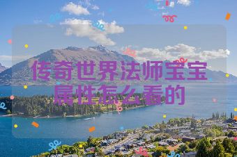 传奇世界法师宝宝属性怎么看的