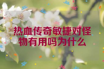 热血传奇敏捷对怪物有用吗为什么