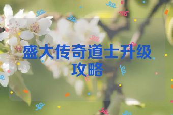 盛大传奇道士升级攻略