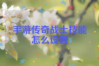 手游传奇战士技能怎么设置