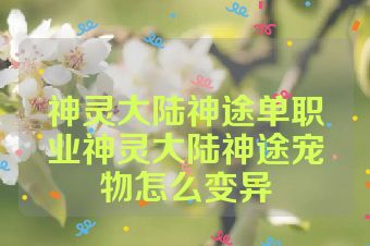 神灵大陆神途单职业神灵大陆神途宠物怎么变异