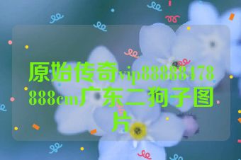 原始传奇vip88888478888cm广东二狗子图片