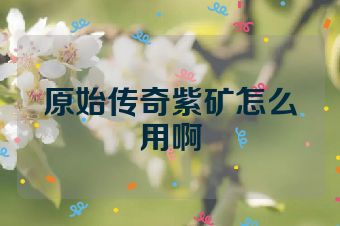 原始传奇紫矿怎么用啊