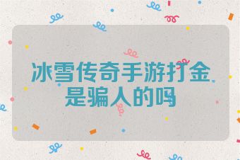 冰雪传奇手游打金是骗人的吗