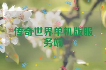 传奇世界单机版服务端
