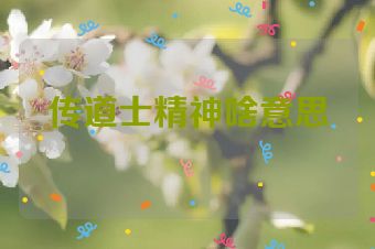 传道士精神啥意思