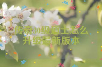 传奇30级道士怎么升级最新版本