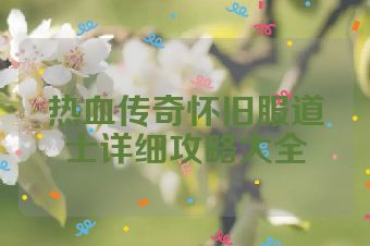 热血传奇怀旧服道士详细攻略大全