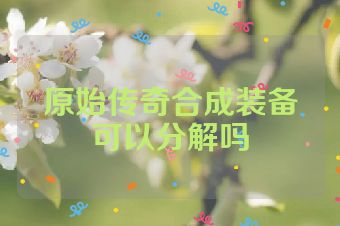 原始传奇合成装备可以分解吗