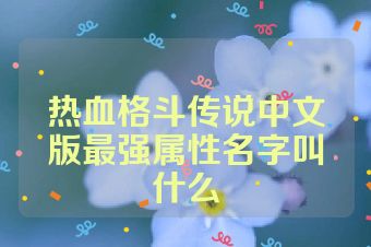 热血格斗传说中文版最强属性名字叫什么