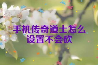 手机传奇道士怎么设置不会砍