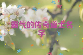 霸气的传奇道士名字