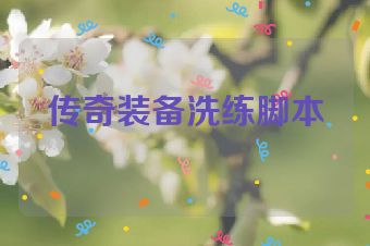 传奇装备洗练脚本