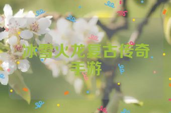 冰雪火龙复古传奇手游