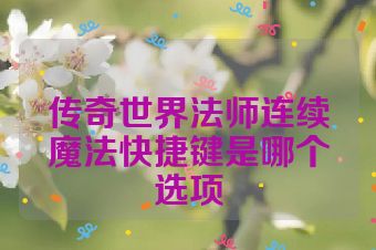 传奇世界法师连续魔法快捷键是哪个选项
